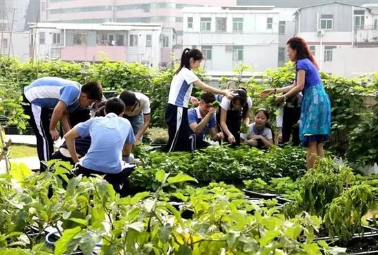 深圳福田中学劳动教育实践基地。